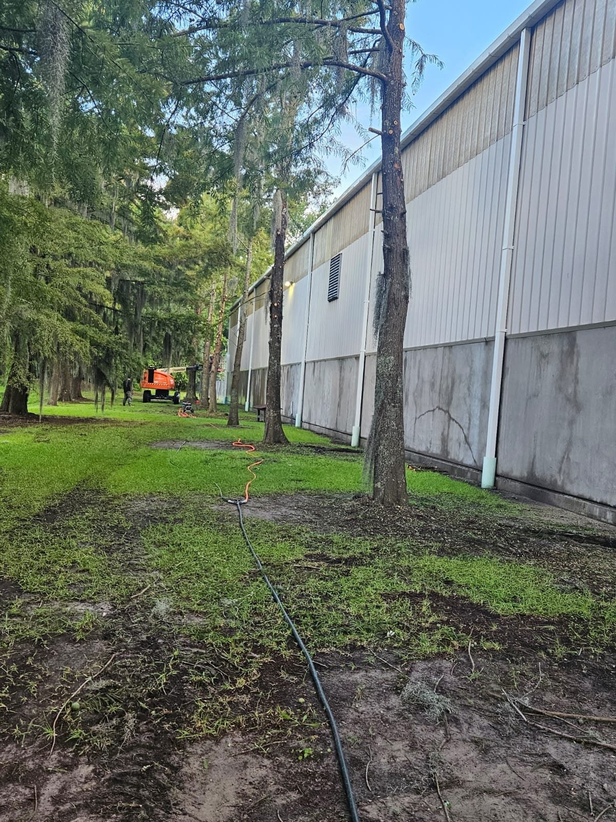 Trees lining a large warehouse building